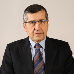 Prof. Dr. Hamit Köksel 